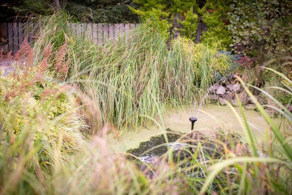 Calm Scottish Country Escape With Hot Tub Sleeps 6 Vila Inverness Exterior foto